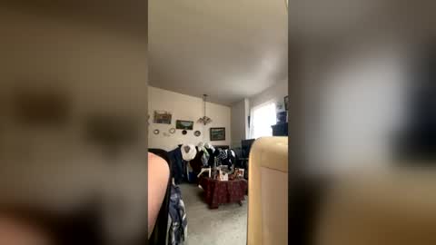 tallhandsomehung69 online show from July 29, 10:54 pm