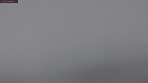 Snapshot of tamara_aa chatting on February 8, 6:22 pm Tamara online show from February 8, 6:22 pm