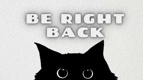 Rousaly online show from March 17, 11:04 am