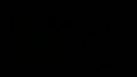 tampa0boner0donor online show from February 1, 1:02 am