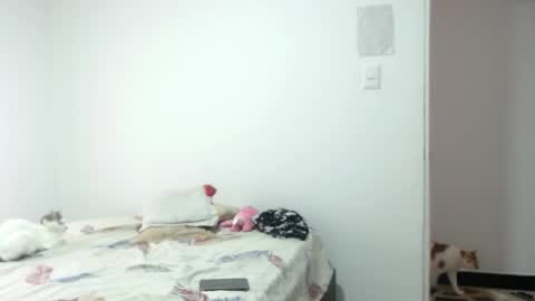 Angeline  Follow  online show from January 13, 6:26 pm