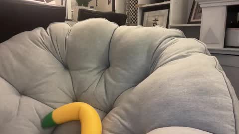 Tatianna Marie online show from November 22, 10:40 pm