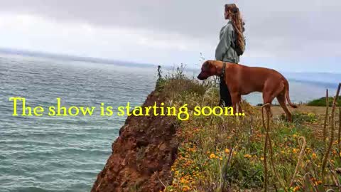 TATUM  ALL MY LINKS  online show from December 2, 7:01 pm