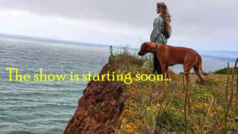 TATUM  ALL MY LINKS  online show from December 19, 1:23 am