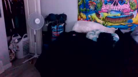 tehkie online show from June 27, 5:24 am