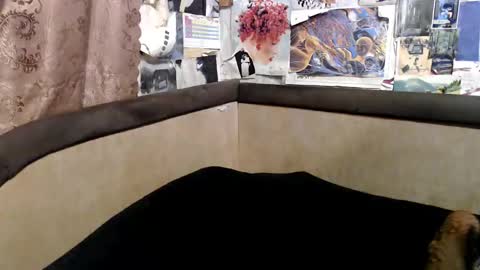 ruth online show from December 1, 3:54 pm