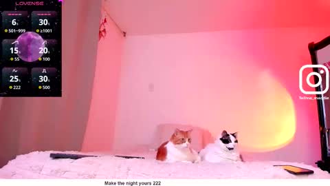 Maddie online show from November 1, 8:08 pm