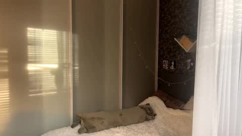 tessiebe online show from February 24, 12:08 pm