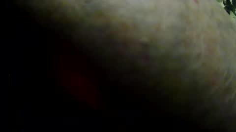 tetuo2 online show from May 21, 11:06 am
