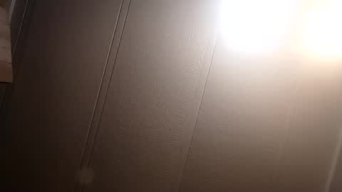 thatb1 online show from February 22, 10:40 am