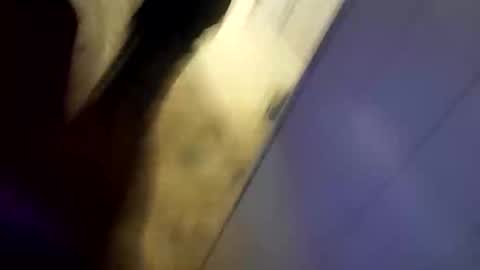 thebbc77 online show from November 26, 3:37 am