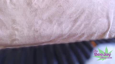 TheBeeJayShow online show from December 4, 12:57 am