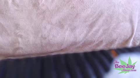 TheBeeJayShow online show from December 4, 7:44 am