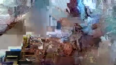 themouse6969 online show from October 13, 4:42 pm