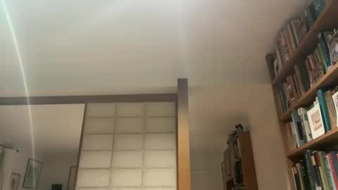 theowlandthe online show from January 16, 7:52 pm