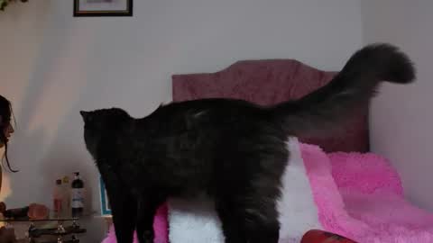 THIN PRINCESS  online show from September 11, 2:24 am