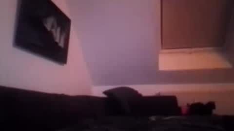 tigertrance online show from November 17, 1:52 am