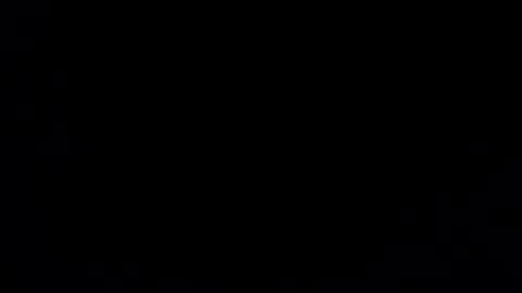 timschmidt112021 online show from January 8, 1:00 am