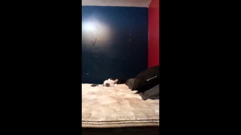 tinycock74478 online show from March 19, 10:04 pm