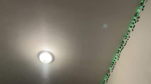 tinydaisy22 online show from December 2, 6:17 pm