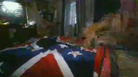 Cole Thrusty online show from December 14, 12:11 pm