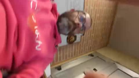 tisis80 online show from February 26, 8:34 pm