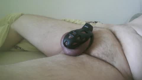 toadallyawesome online show from February 2, 8:34 am