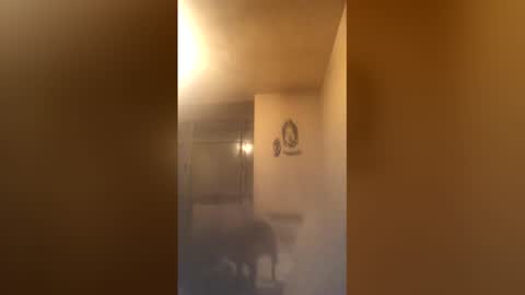 tomcop11111 online show from April 24, 6:37 am