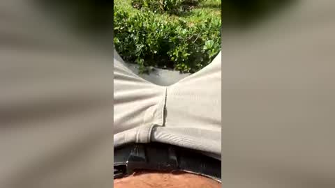 tommy_longcock online show from July 27, 9:12 pm