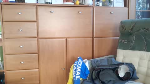 Tommy online show from January 19, 8:50 am