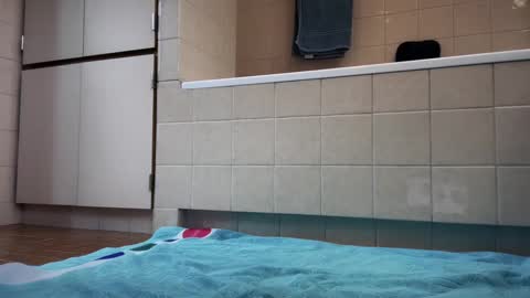 tonisun online show from December 4, 8:39 am