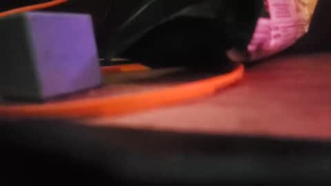 tooshort30w59675 online show from October 5, 12:46 pm