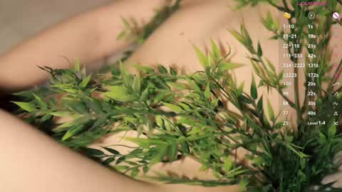 Toshi online show from December 17, 1:07 pm