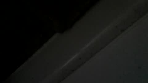 transyfansy online show from July 23, 7:17 am