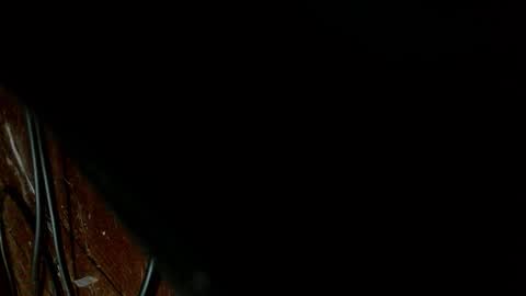 Dilly Dally online show from February 14, 7:22 am