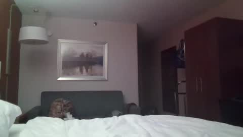 trickquestion online show from December 7, 8:27 am