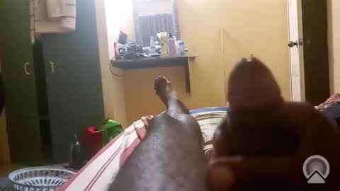 Antique-Shirt2516 online show from February 26, 12:25 am