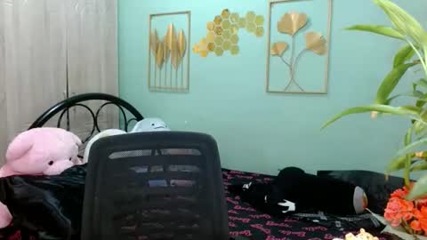 SHENA  online show from November 3, 6:25 am