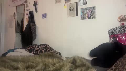 turntpixie online show from February 7, 3:53 am