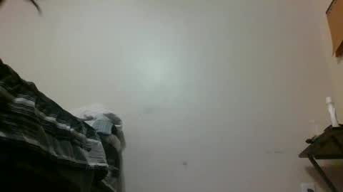 txbigd131369 online show from January 29, 1:16 am