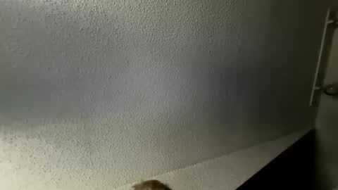 uglydaveh1 online show from January 16, 3:54 pm