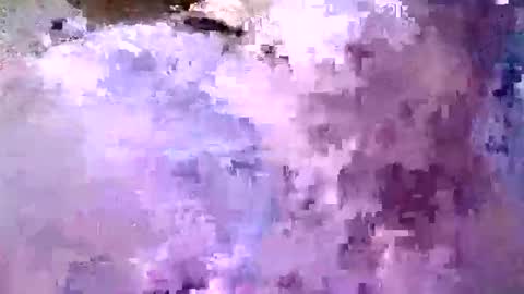 valdiciorocha6 online show from June 4, 2:17 am