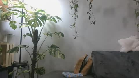 vanessa__foxx online show from December 7, 5:37 pm