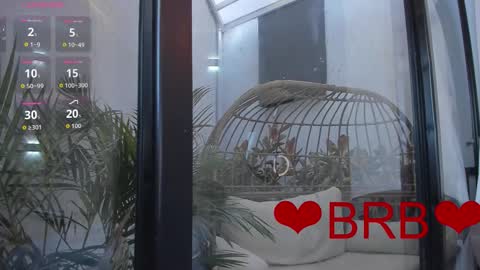 VENUS online show from March 6, 11:53 am