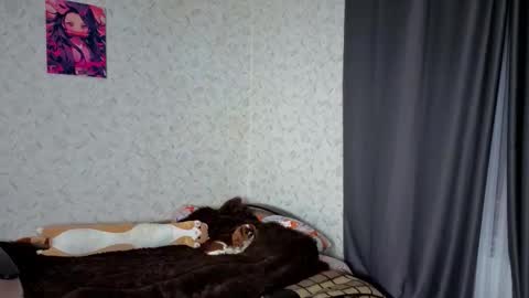 Veronica online show from March 4, 9:23 pm