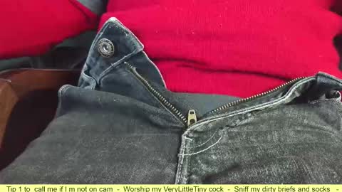 Snapshot of verylittletiny chatting on October 3, 8:22 am Erik online show from October 3, 8:22 am