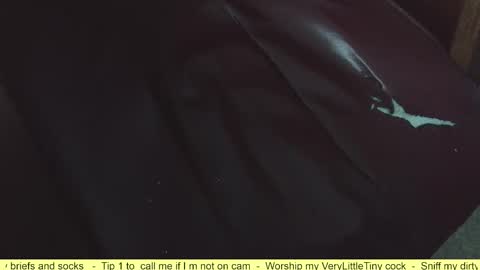 Snapshot of verylittletiny chatting on October 4, 8:23 am Erik online show from October 4, 8:23 am
