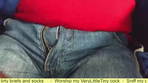 Snapshot of verylittletiny chatting on October 21, 9:36 am Erik online show from October 21, 9:36 am