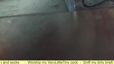 Snapshot of verylittletiny chatting on October 7, 9:49 am Erik online show from October 7, 9:49 am