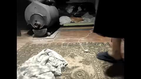 verynicelognlastingcock online show from October 31, 9:37 pm